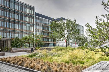 Rotterdam, Hollanda, 16 Haziran 2018: son zamanlarda tamamlanmış Erasmus Tıp Merkezi çatı bahçeleri hastalar, personel ve ziyaretçilerin için sağlıklı bir ortam sunuyoruz