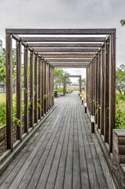 Rotterdam, Hollanda, 16 Haziran 2018: ahşap pergola bir roofgardens üzerinde son zamanlarda tamamlanmış Erasmus Tıp Merkezi