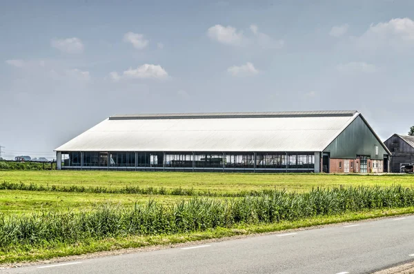 Zwolle Netherlands June 2018 Modern Large Scale Cattle Shed Mastenbroeker — Stock Photo, Image