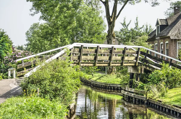 Giethoorn Nizozemsko Června 2018 Tradiční Dřevěný Most Pro Chodce Cyklisty — Stock fotografie