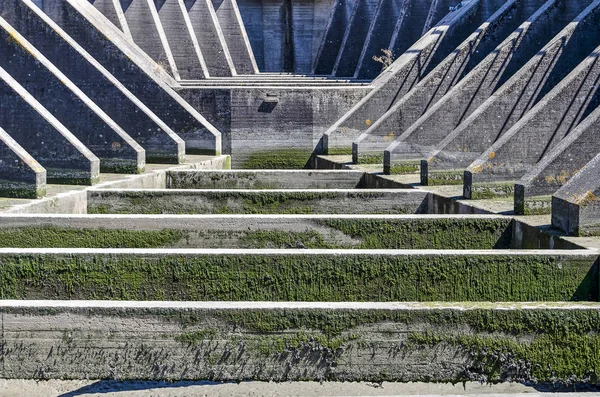 Bir Breskens Hollanda Feribot Liman Yıpranmış Beton Inşaat Kısmen Moss — Stok fotoğraf