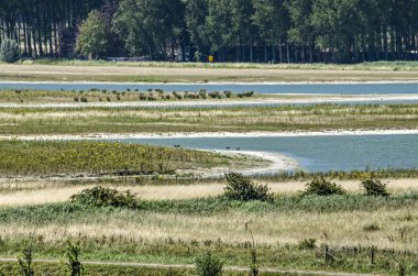 Sluis, Hollanda, 2 Temmuz 2018 Belediyesi: gelgit doğa eğlence ve kıyı savunma Waterdunen projesi ile birlikte yeni geliştirilmiş