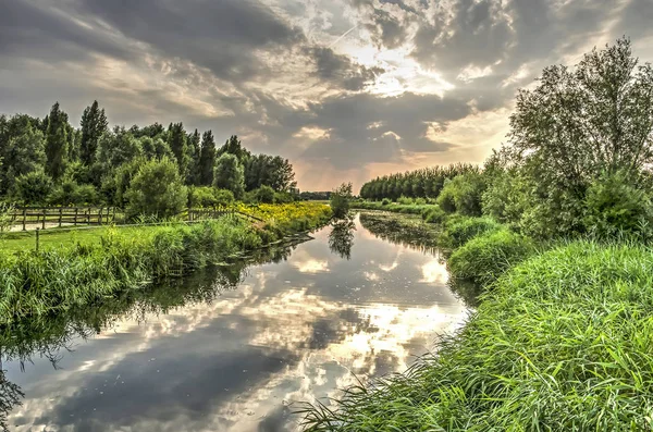 Ein Kleiner Fluss Namens Koedood Auf Der Insel Ijsselmonde Südlich — Stockfoto