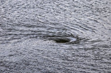 Güçlü bir nehir jakuzide döndürme