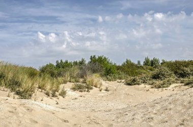 Sandy Hollow'da dunes Rockanje, Hollanda bir yaz gününde yakınındaki Voorne Island üzerinde