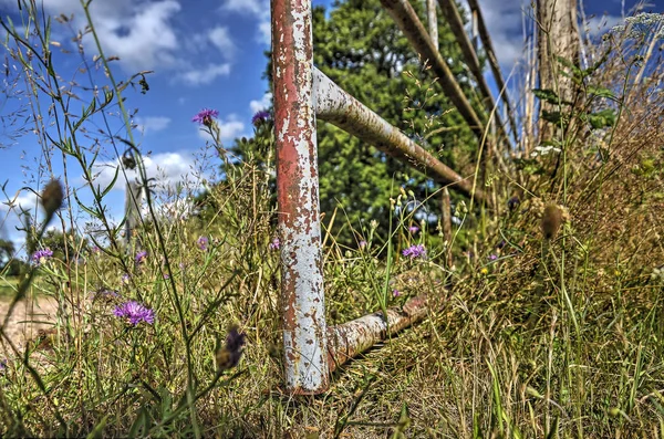 Weed Wildflowers Growng Rusty Fence French Field Summer — Stock Photo, Image