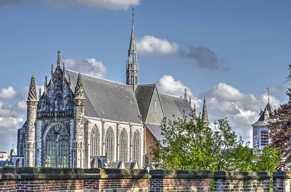 Leiden Nizozemsko Dubna 2018 Pohled Burcht Hrad Směrem Gothic Hooglandse — Stock fotografie