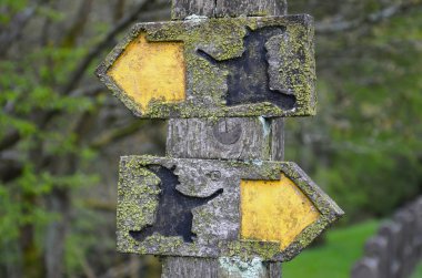 Moss-covered wooden signs along the Pendle Witches Trail in Lancashire with witches silhouettes conveying contradictory information clipart