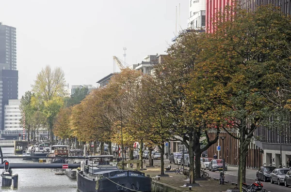 Rotterdam Nederland Oktober 2017 Lijn Van Bomen Herfst Kleuren Aan — Stockfoto