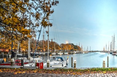 Enkhuizen, Hollanda, 26 Ekim 2015: ay, kısa bir süre güneş battıktan sonra dış liman marina üzerinde yükselen ağaçlarda sonbahar renkleri ile kaplı