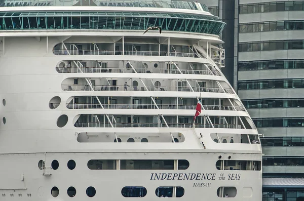 Rotterdam Países Bajos Agosto 2018 Crucero Independencia Los Mares Amarrado — Foto de Stock