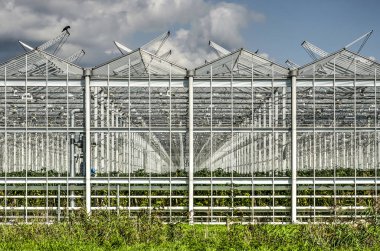 Lansingerland, Hollanda karmaşık bir büyük sera içine giderek azalan bir bakış açısı ile göster