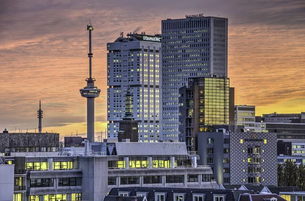 Rotterdam Países Bajos Noviembre 2016 Las Torres Gemelas Del Centro — Foto de Stock