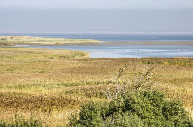 Kwade Hoek tabiatı görünümünü Goeree Adası, Hollanda ve biraz yüksek bir bakış açısından Northsea