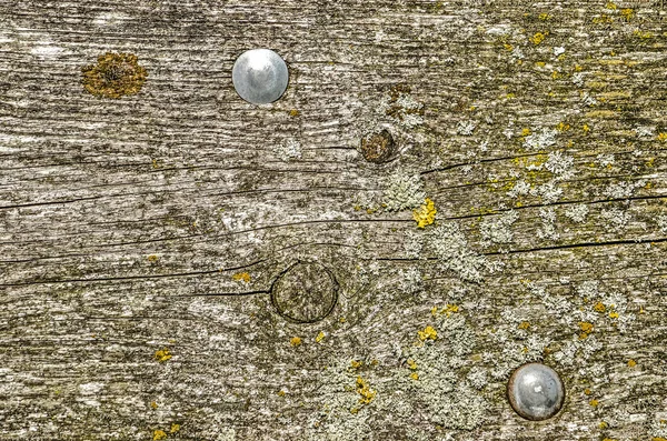 Εξαιρετικά Τραχύς Και Ξεπερασμένο Ξύλινη Σανίδα Από Ένα Παγκάκι Πάρκου — Φωτογραφία Αρχείου