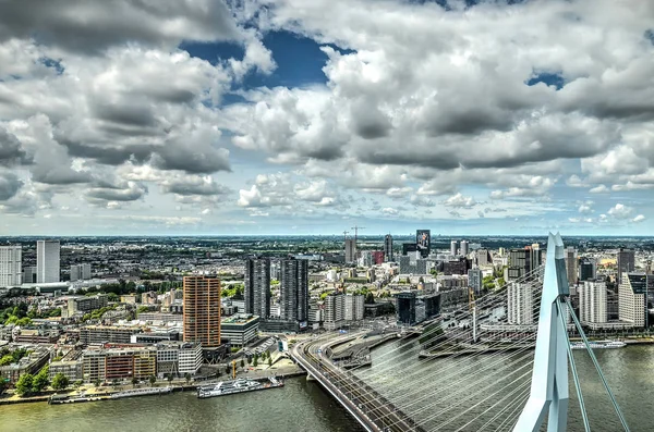 Rotterdam Hollanda Haziran 2015 Erasmus Köprüsü Nün Üst Kısmında Yer — Stok fotoğraf