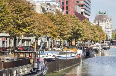 Rotterdam, Hollanda, 9 Ekim 2018: tarihi mavnalar eski Scheepmakershaven liman havzasında demirleyen kaplı kestane ağaçları sonbahar renkleri ile