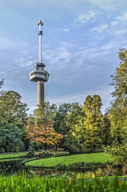 Rotterdam, Hollanda, 31 Ekim 2018: Ağaçlar, çim ve şehir simgesi ve gözlem ile sonbahar park su birikintisi arka planda Euromast kule