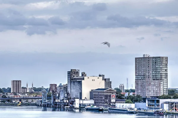 Rotterdam Holanda Outubro 2018 Vista Porto Maashaven Dominado Por Maassilo — Fotografia de Stock