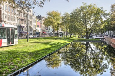 Rotterdam, Hollanda, 5 Ekim 2018: Antik çimenli kıyısında geçirerek tramvay ile Westersingel kanal, sakin suda yansıtan çınar