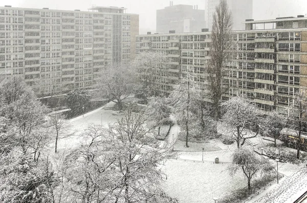 Lijnbaan ダウンタウンの住宅に囲まれた小さな公園で冬の寒い日にロッテルダム オランダ 2017 — ストック写真