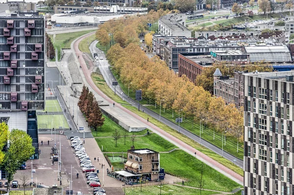 Rotterdam Hollandia November 2018 Ban Fákkal Szegélyezett Westzeedijk Szomszédos Kerékpár — Stock Fotó