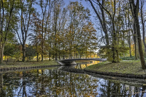 木や秋のオランダ ロッテルダムの Zuiderpark の池の中を反映して歩道橋 — ストック写真