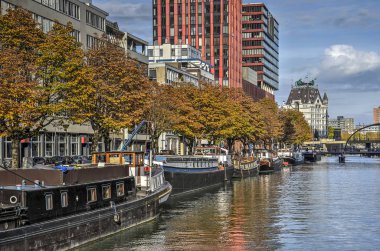 Rotterdam, Hollanda, 30 Ekim 2016: Kestane ağaçları sonbahar renkleri ve eski Scheepmakershaven harbour, modern mimari ortasında tarihi mavnalar