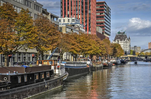 ロッテルダム オランダ 2016 栗の木の紅葉と旧 Scheepmakershaven 港で近代建築に囲まれた歴史的な船 — ストック写真