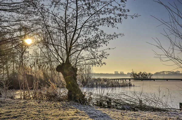 Scène Tranquille Bord Lac Kralingse Plas Rotterdam Aux Pays Bas — Photo