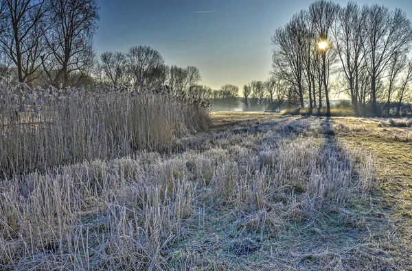 Soleil Brille Travers Les Arbres Jette Des Ombres Sur Les — Photo