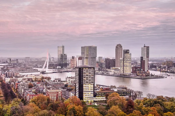 Rotterdam Holanda Novembro 2018 Vista Rio Nieuwe Maas Com Ponte — Fotografia de Stock