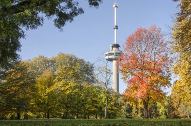Rotterdam, Hollanda, 8 Kasım 2018: görünüm birinin park çimenler güneşli bir sonbahar içinde çeşitli renkli ağaç arka planda şehir simgesi Euromast ile çevrili