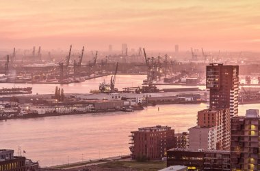 Rotterdam, Hollanda, 12 Kasım 2018: Waalhaven sanayi bölgesi ve Lloydkwartier kentsel Mahallesi'nde iki tarafında ile nehir Nieuwe Maas, mor bir gün batımı gökyüzü yansıtır