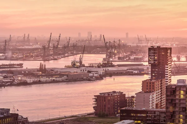 Rotterdam Países Bajos Noviembre 2018 Cielo Púrpura Atardecer Refleja Río — Foto de Stock