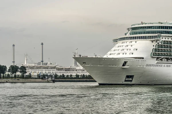 Rotterdam Países Bajos Agosto 2018 Crucero Indepence Seas Pasa Por — Foto de Stock