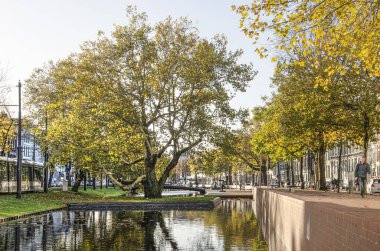 Rotterdam, Hollanda, 8 Kasım 2018: Westersingel görünümü kanal solda, çim yamaçları ile sonbaharda quay duvara sağ ve orta tarihi çınar