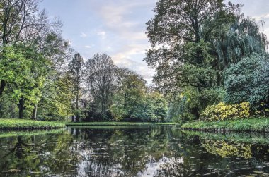 Bir su birikintisi Leeuwarden, Hollanda sonbaharda genel bir parkta sakin suların yansıtan çeşitli ağaçlar