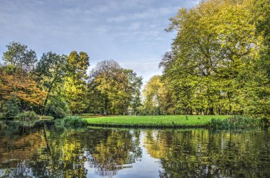 Çeşitli renk, mavi gökyüzü, yansıma bir ayna gibi havuzda ve güneşli bir sonbaharda Rotterdma parkta çim yeşil ağaçların