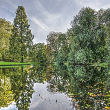 Kare biçimi görüntü mavi gökyüzü ve sonbahar renkleri Rotterdam parkta bir havuzda yansıtan ağaçlarda