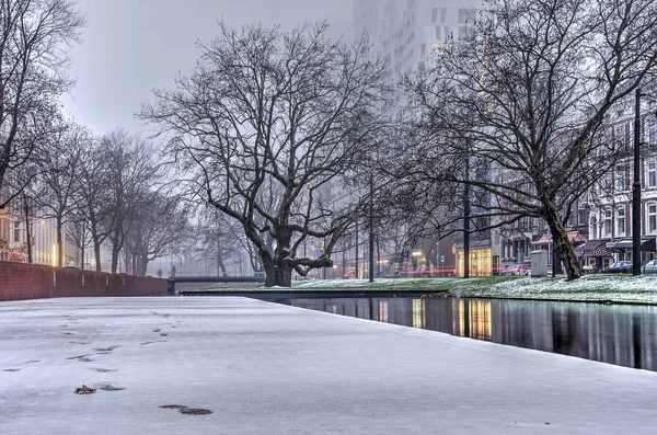 Rotterdam Holandia Grudnia 2018 Cienkie Krótkie Mieszkał Warstwą Śniegu Nabrzeżu — Zdjęcie stockowe