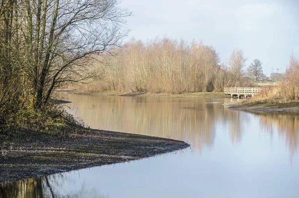 Vue Panoramique Avec Des Arbres Des Buissons Une Passerelle Piétonne — Photo