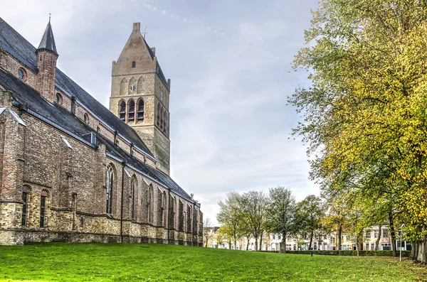 Bolsward Nizozemsko Listopadu 2018 Martini Kostel Okolní Trávník Stromy Podzim — Stock fotografie