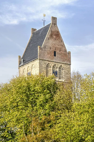 Bolsward Holanda Novembro 2018 Dois Igreja Martini Elevando Acima Folhagem — Fotografia de Stock