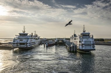 Texel, Hollanda, 21 Temmuz 2018: bir martı akıp gidiyor iken adayı terk bir üçüncü görüldüğü gibi limanda yerleştirilmiş iki feribot tekne tekne