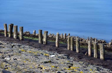 Row of weathered wooden poles on a dike on the coast of Oosterschelde estuary on the island of Noord-Beveland, The Netherlands, with layers of basalt, seaweed and tarmac clipart