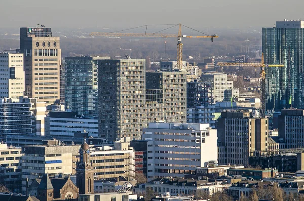 네덜란드 로테르담 2019년 도어맨 주거용 건물과 센터를 포함한 서쪽에서 로테르담 — 스톡 사진