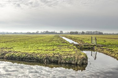 Delft, Hollanda, hendek ile bir çelik çit, çayır ve ağaçlar ve çalılar ufuk adlı bir çizgi güneyinde Midden Delfland açık polder peyzaj