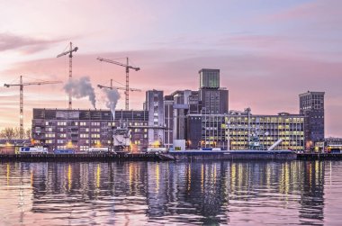 Rotterdam, Hollanda, 18 Ocak 2019: görünüm Rijnhaven limana doğru tarihi grainsilo ve Katendrecht adlı dört İnşaat vinçleri yansıtıcı yüzey üzerinde