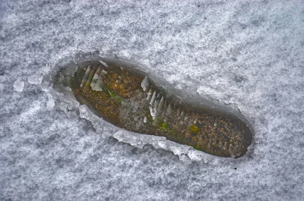 Krok Člověka Poněkud Špinavé Částečně Roztavené Sněhu Graval Povrchu — Stock fotografie